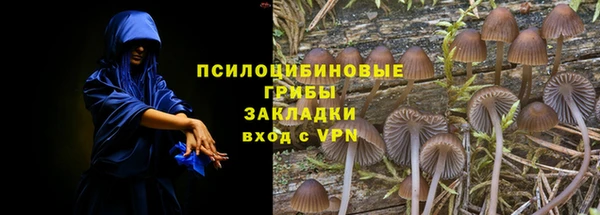 скорость Алзамай