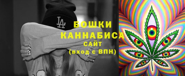 прущие грибы Пересвет