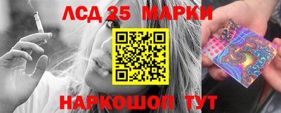 СК Шебекино
