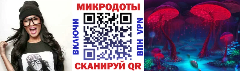 Галлюциногенные грибы Psilocybe  Махачкала 