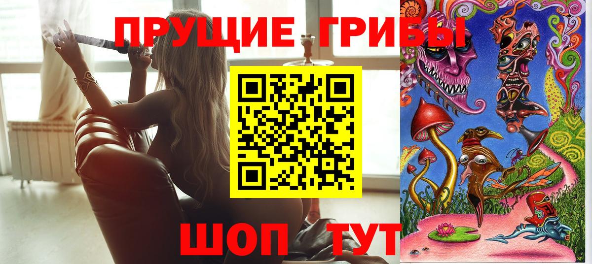 Псилоцибиновые грибы прущие грибы  Вход с VPN  купить наркотики сайты  Махачкала 