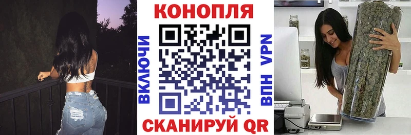 купить закладку  Махачкала  Бошки Шишки тримм 